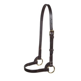 Schneiders Victor Supreme David Boggs Arabian Training Halter for Horses | Designed by Leading Trainer David Boggs | Made from Top-of-The-Line Leather | Handcrafted in The USA | Size Yearling