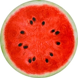 Vessia Watermelon Printed Throw Blanket, Realistic Funny Round Food Blanket for Adults and Kids, 300GSM Novelty Fruits Throw for Couch, Sofa, Bed, Fun Home Decor for All Seasons, 47 inches