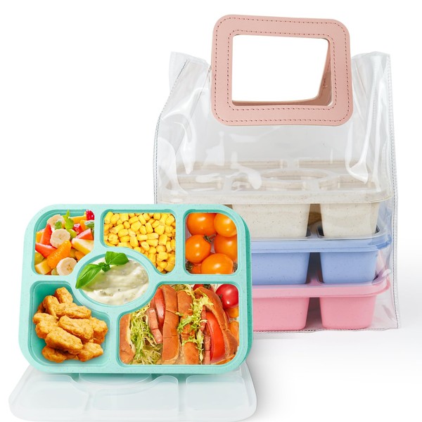 RFSLDUN Lunch Bento Box 6 Compartment for Adults and Reusable