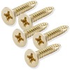 Cauldham Bright Brass Wood Screws #9 x 1 Inch for