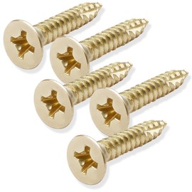 Cauldham Bright Brass Wood Screws #9 x 1 Inch for Door Hinges - 25 Pack