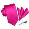 HISDERN Men's Tie Classic Plain Tie and Pocket Square Tie