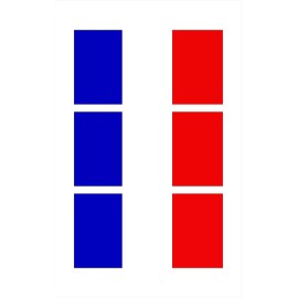 Sticker Tiger 3 - French France Flag Hard Hat Biker Helmet Toolbox Stickers Decal HS1017