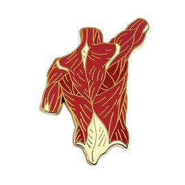 Pinsanity Back Torso Muscle Anatomy Enamel Lapel Pin
