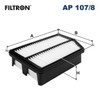 Filtron Air filter, ap107/8