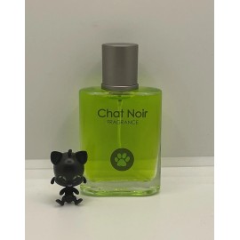 Chat Noir the Fragrance - 30 ml 🐈‍⬛ Miraculous Ladybug!