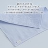 Imabari Towel Gift Sara-la Saki Gauze Pile Handkerchief, 1 Piece