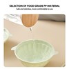 Ice Bowl Containers Mold Light Green Dark Green White Yellow