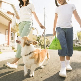 Dog Poo Bags, 120 Extra Thick and Strong Poo Bags for Dogs, EN13432 Highest Rated Environmentally Sustainable, Guaranteed Leak-proof, 8 Rolls, 15 Doggy Bags Per Roll 23x33cm