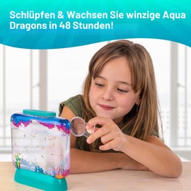 Aqua Dragons Underwater World Aquarium
