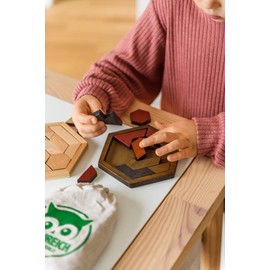 Natureich Rätsel Steckpuzzle mit geometrischen Formen/Motorik Holzbausteine Geometrie Puzzle/Geschicklichkeitsspiel für Kinder ab 4 Jahre aus Holz in braun