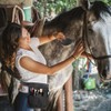 Horse Braiding Kit, Supplies-Easy Starter Set for Horse Braiding Beginners