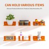 Sezanrpt 9 Inch Orange Wall Shelves, Acrylic Wall Mounting Ledges
