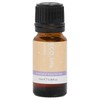 ECO. Modern Essentials Little Lullaby Essential Oil Blend, Blend 10ml