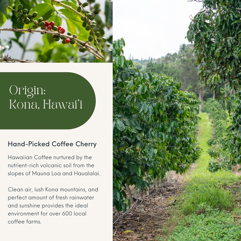 ROYAL KONA COFFEE - Light Roast Ground Coffee, Vanilla Macadamia