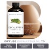 Brooklyn Botany Eucalyptus Essential Oil - Huge 4 Fl Oz