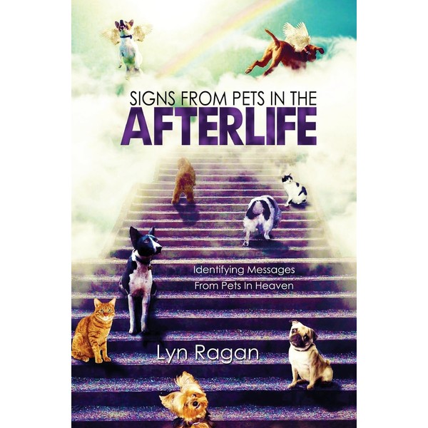 Signs From Pets In The Afterlife: Identifying Messages From Pets