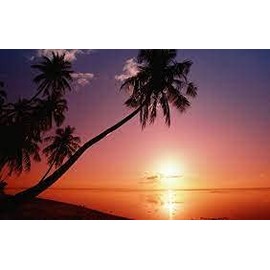 Hawaiian Breeze Fragrance Oil 32 oz Bottle Premium Grade for Candle and Soap Making by Midway Mercantile