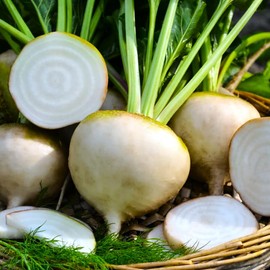 TomorrowSeeds - White Albino Beet Seeds - 600+ Count - for 2026 Planting Mangel Turnip Garden Beetroot Sugar Sweet Blankoma Avalanche Snow Beets Root Vegetable Grow Your Own Home Farm Patio Healthy