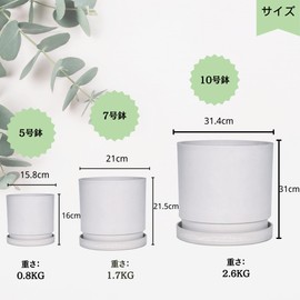 Greenship Flowerpot with Saucer, No. 5 (6.2 inches (15.8 cm), Stylish Pot with Matte Texture, Eco Material, White Gray (Black, No. 5)