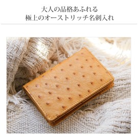 Sankyo Shokai Ostrich Leather Business Card Holder, Full Point Card Case, orange