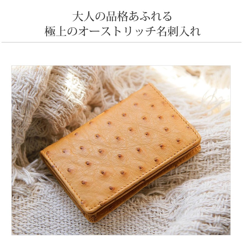 Sankyo Shokai Ostrich Leather Business Card Holder, Full Point Card