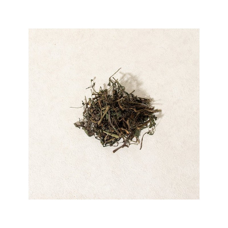 한련초 300g Herbaceous Plant 300g