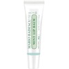 Lip Balm - Mint by Mario Badescu for Women -
