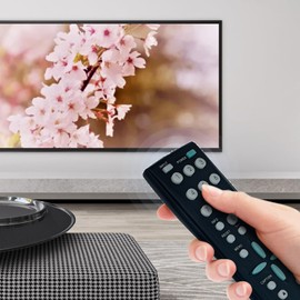 GXBG GXBJ Replace Remote Control Compatible with Sanyo LCD TV DP19648 DP26649 DP19649 DP26647 DP32647 DP50747 DP42647 DP37647 DP37647AR DP50741 DP50719 Sub for Remote GXCC GXFA GXBD GXBM GXHA