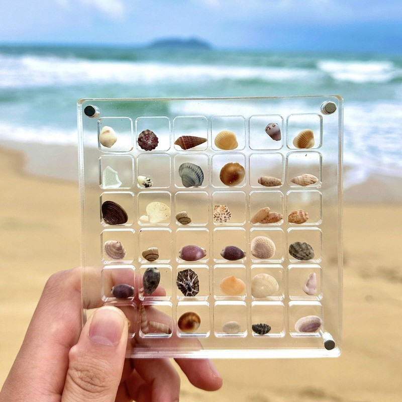 SSKHE 36 Grids Acrylic Magnetic Seashell Display Box, Clear Mini
