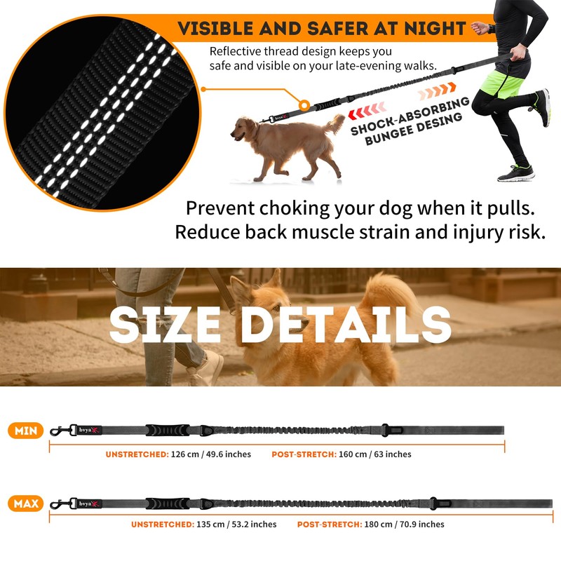 bvya 5.2-6 Ft Reflective Strong Bungee Dog Leash Retractable Shock