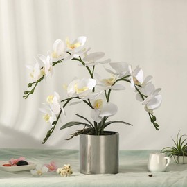 LESING Artificial Orchid Flower with Vase, White Orchid Bonsai Faux Orchid Phalaenopsis Plant Pot Arrangements for Home Decoration (White,Silver Vase)