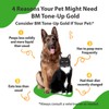 Pet Wellbeing BM Tone-Up Gold for Dogs & Cats -