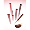 Tip Toe Mustang Lip Matter (6 Colors) / 무스탱 립