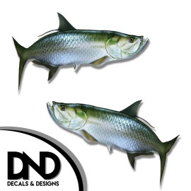 Tarpon - Fish Decal Fishing Tackle Box Bumper Sticker "5in SET" F-0820 D&