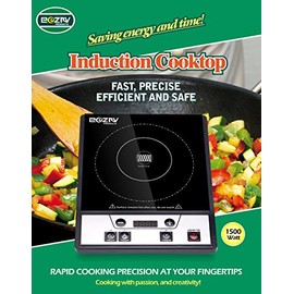 PORTABLE INDUCTION COOKTOP