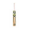 SG Savage Plus Kashmir Willow Cricket bat
