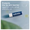 Labello Active Care For Men Lip Balm 4.8g
