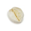 Gelato Pique PWGB251666 Women's Marshmallow Tissue Pouch, YEL Free Size