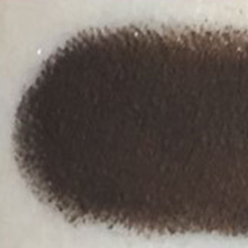 Brow Setting Gel Vibrant Coffee Color Lasting Waterproof Even Coloring