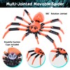 Titan Spider Toys - 3D Printed Spider Fidget Toys for