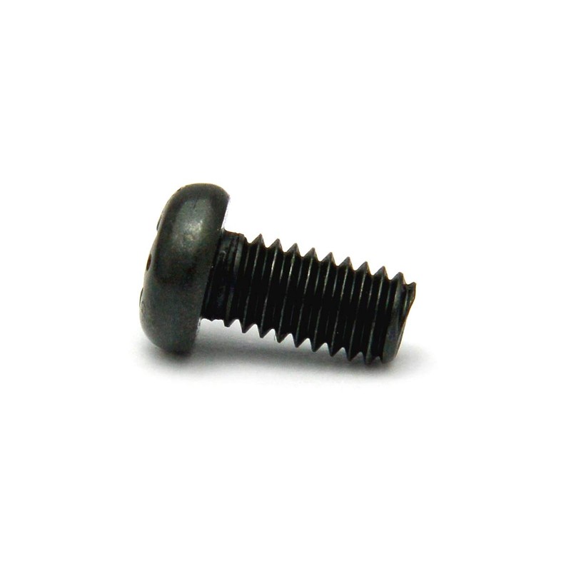 Stainless Steel/SS Black (+) Pan Head Screws (Full Screws) M3