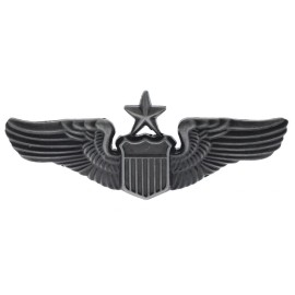 USAF Air Force Senior Pilot Small Wings 1 1/4 inch hat lapel pin EE15442 F1D14D