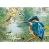 JIGSAW 1000 PIECE - NATURE RESERVE L