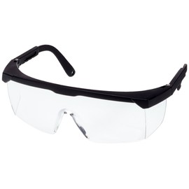 Georg Schmerler Model 659/2 Colourless Safety Glasses