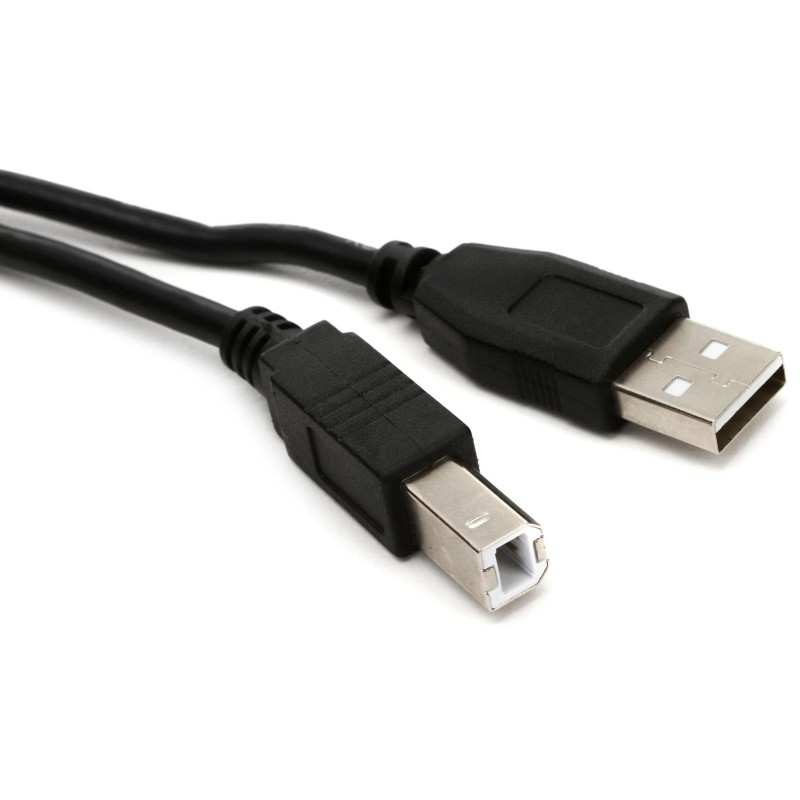 Roland UM-ONE mk2 USB MIDI Interface + Hosa USB-215AB Value