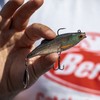 Berkley Pulse Realistic Roach Flash – Angelköder aus weichem Gummi