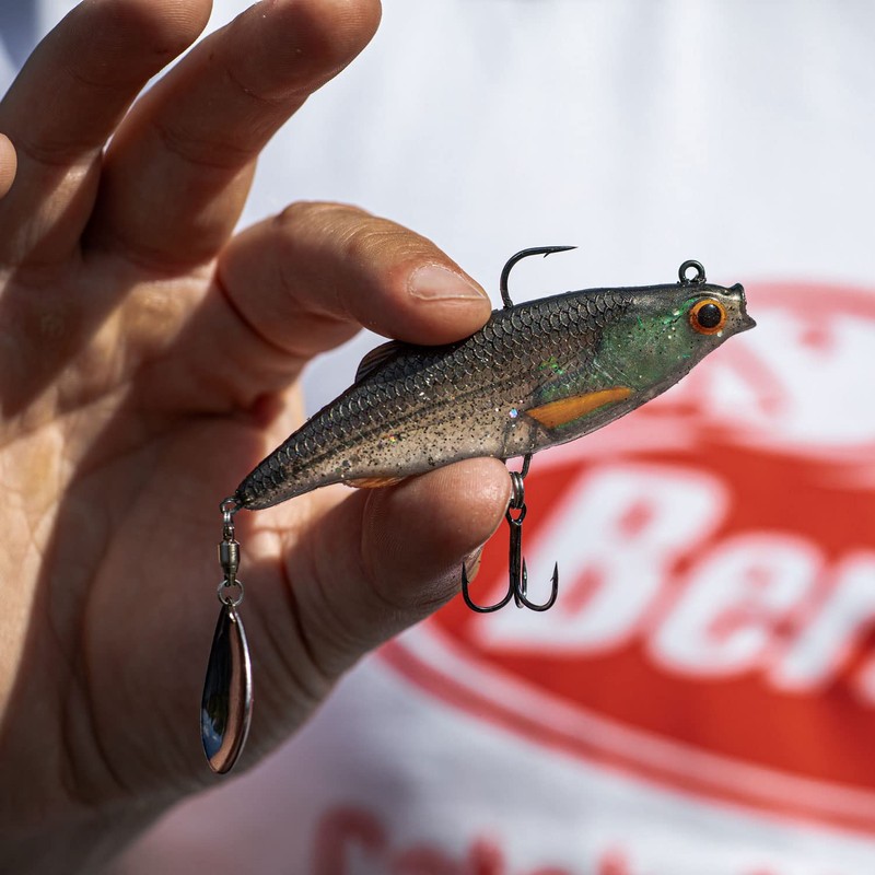 Berkley Pulse Realistic Roach Flash – Angelköder aus weichem Gummi