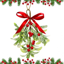 Mistletoe Christmas Decoration - Red Bow & Red Berries Christmas Mistletoe Ball Ornaments,Kissing Ball Artificial Dry Leaf Hanging Decoration Mistletoe Herb for Door Tree (1)