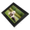 10.1inch Digital Photo Frame 1280x800 16:10 IPS Screen Remote Control